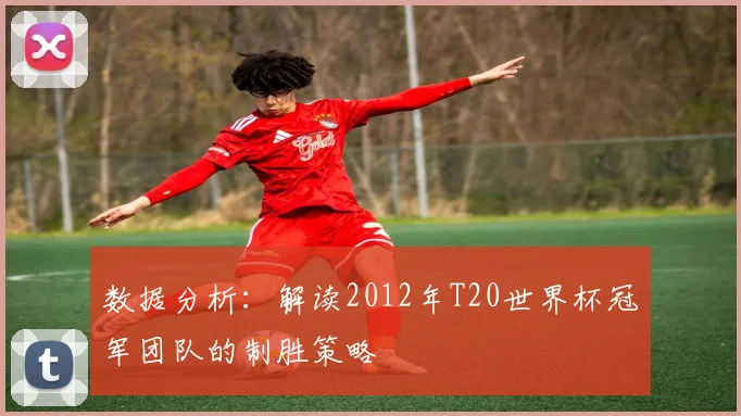 数据分析：解读2012年T20世界杯冠军团队的制胜策略